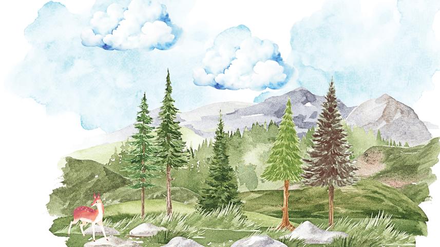 forest-city.jpg