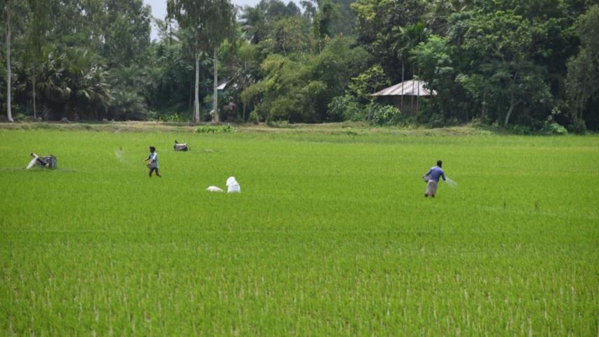 Climate change demands better forecasts for farmers