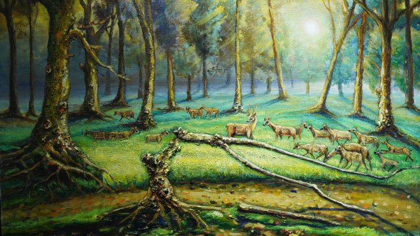 ‘Aranyarekha’: An earnest appeal to preserve the Sunderbans