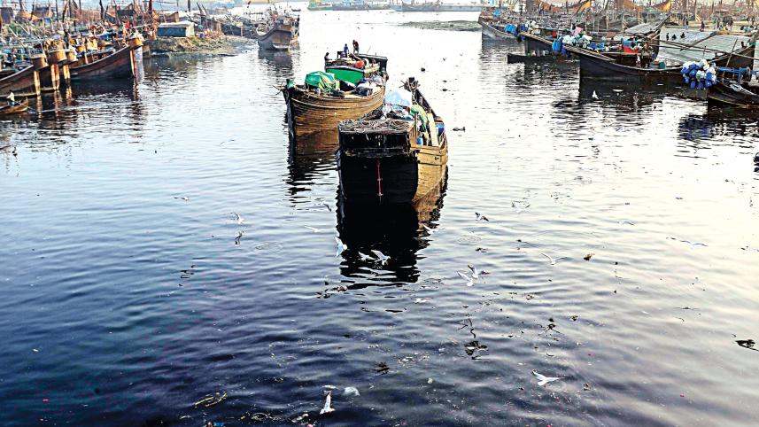 river9.jpg