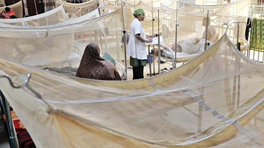 dengue1111.jpg