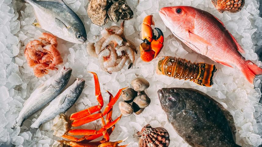 Want better focus and health? Add more fish to diet