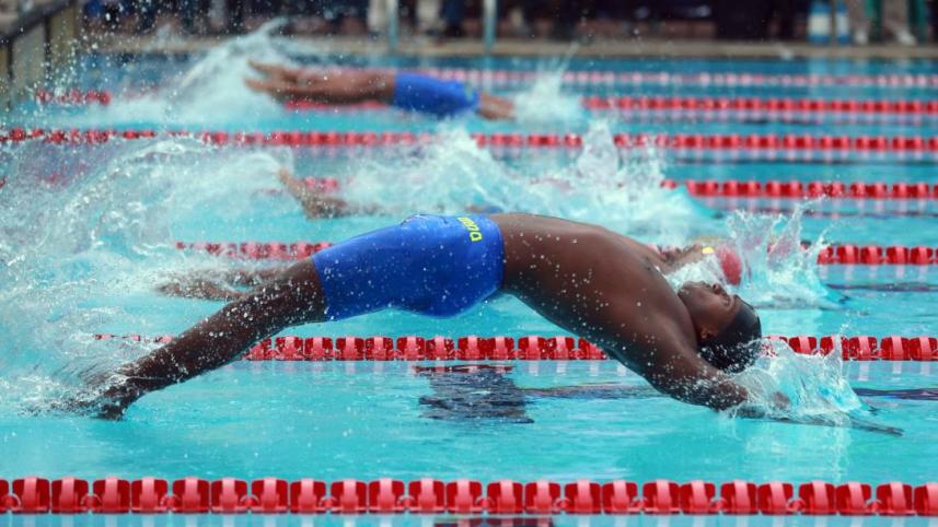 swimmers.jpg