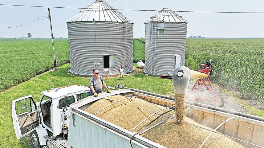 china-soybean-glut.jpg