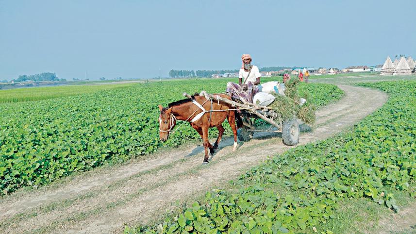 1-lead-photo-kurigram-char-economy-08.jpg