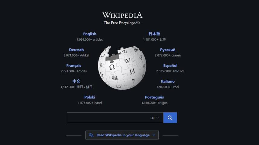 wikipedia-ds.jpg