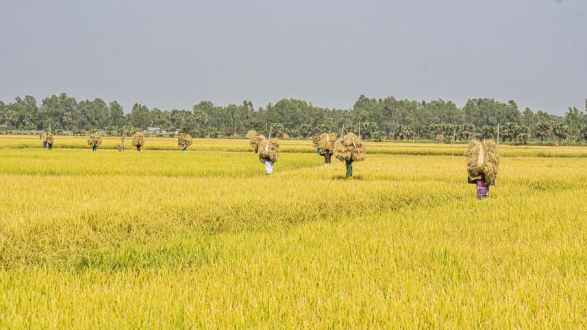how-agricultural-innovations.jpg