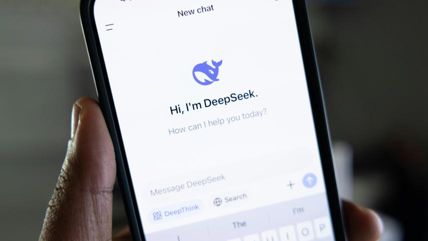DeepSeek