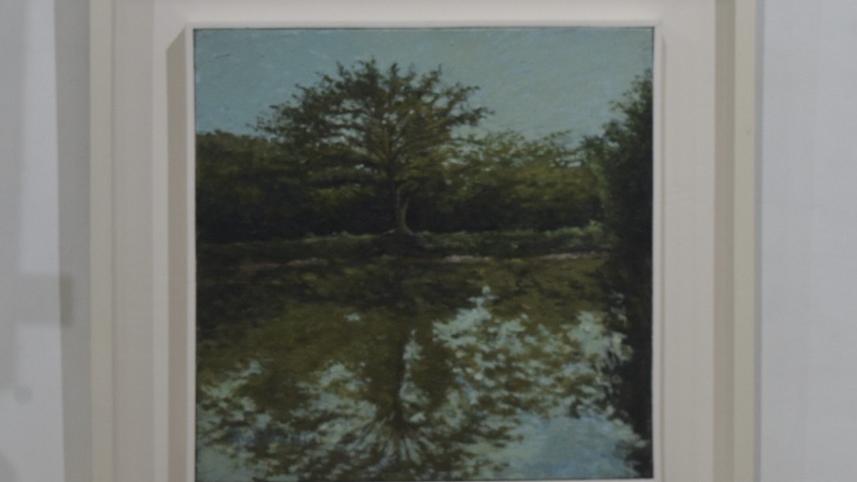 ‘The Color of Nature’: oil paintings for the eyes and the soul