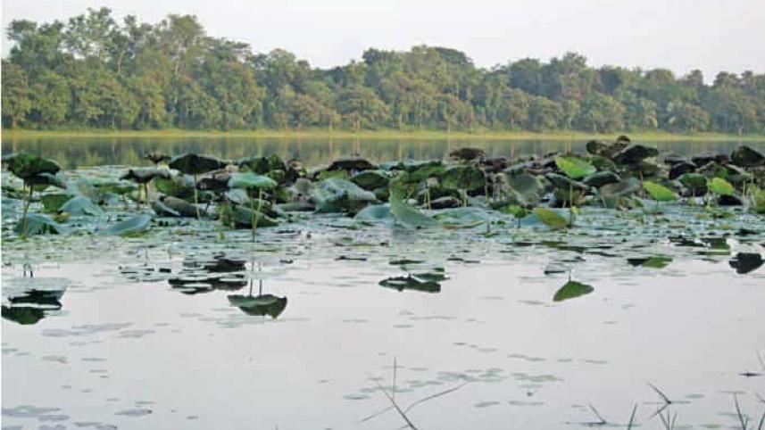 nature1_2.jpg