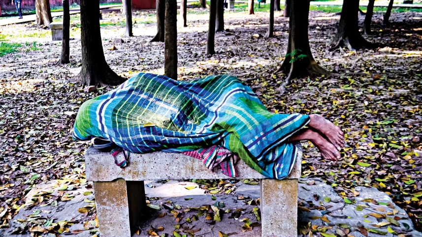 daydreamers1.jpg