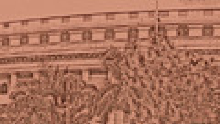 bengal_3.jpg