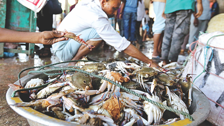 anglers_12.jpg