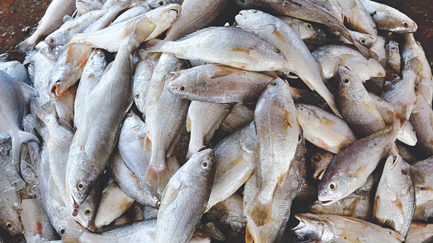 anglers_6.jpg
