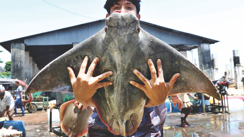 anglers_8.jpg