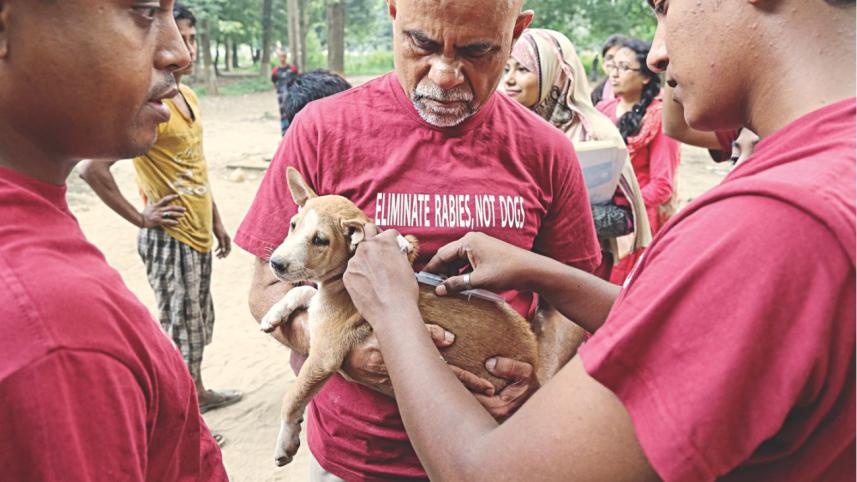 Animal welfare