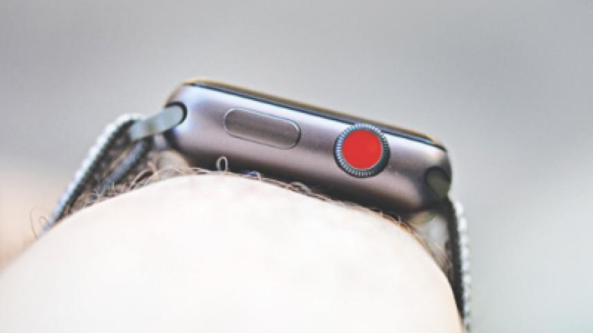 apple_29.jpg