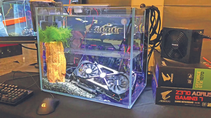 aquarium.jpg