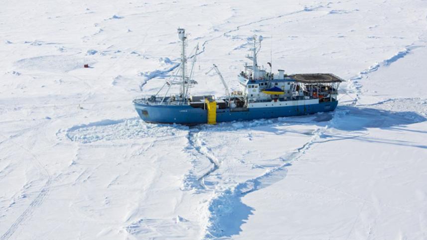 Arctic.jpg