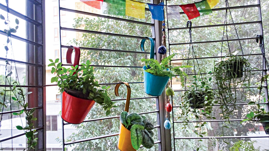balcony2.jpg