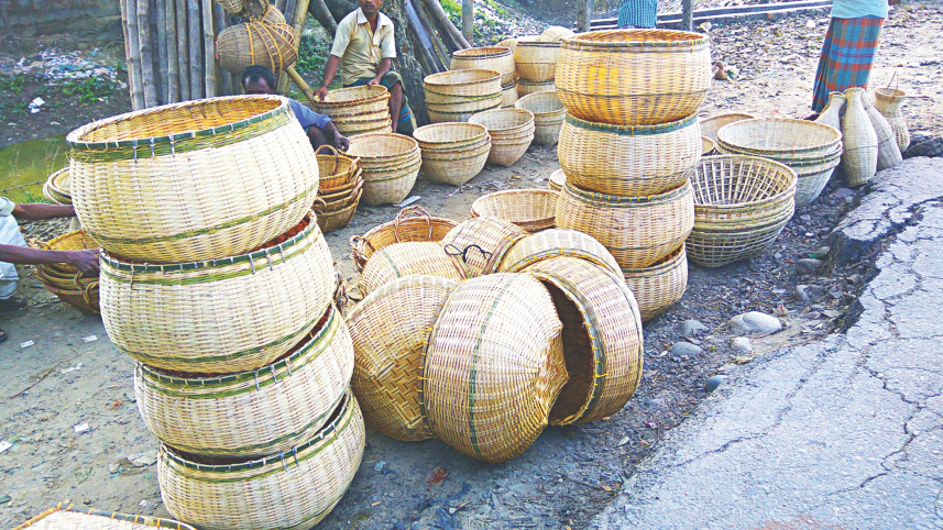 bamboo_beauties5.jpg