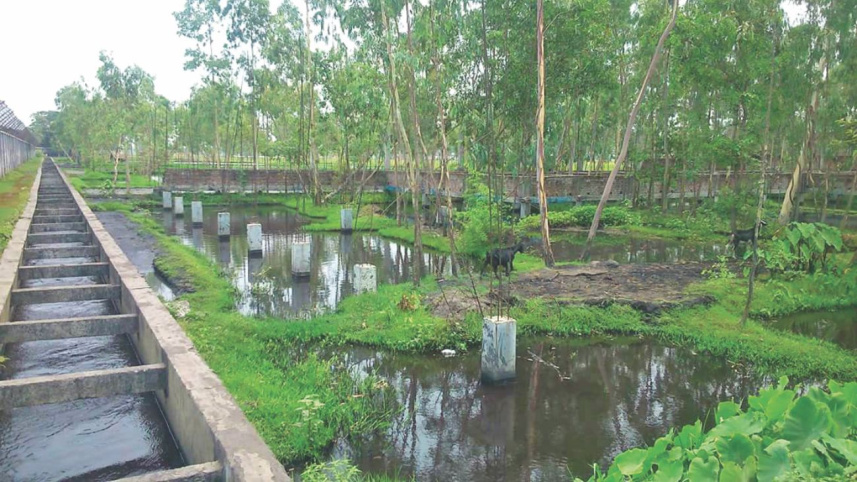 barapukuria_coal_mine2.jpg