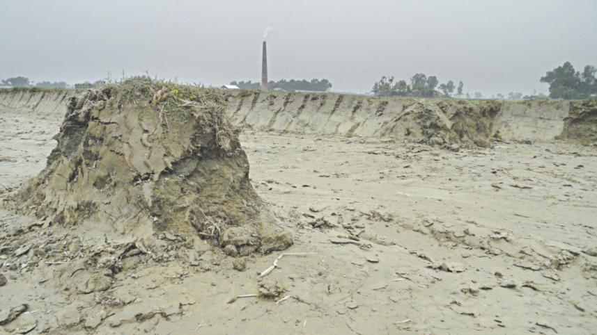 brick field 1.jpg