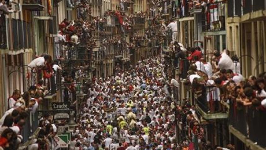bull spain 3.jpg
