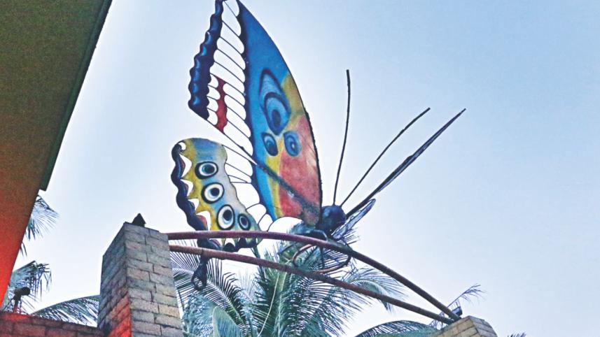 butterfly6.jpg