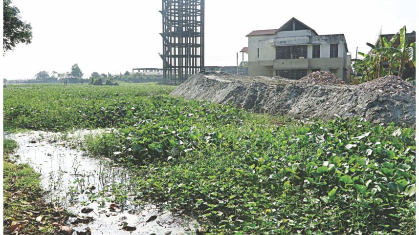 canal2_0.jpg