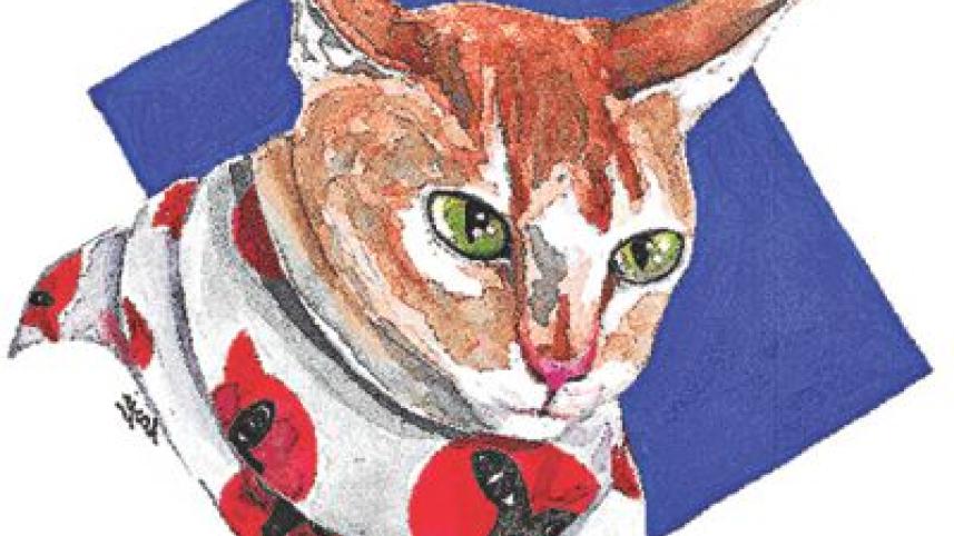 cat_0.jpg