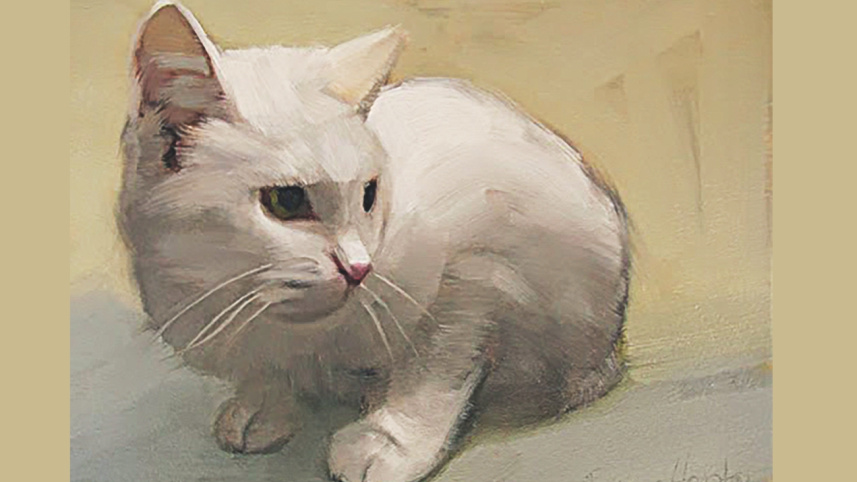 cat_6.jpg