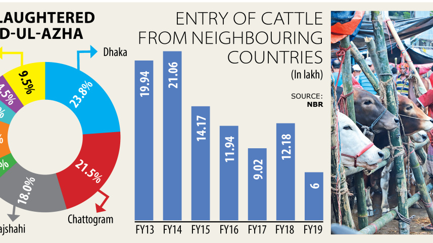 cattle_info.jpg