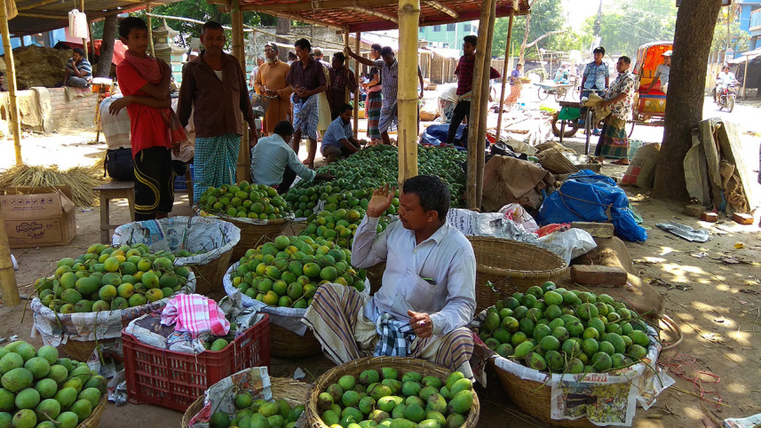 chapainawabganj_mango.jpg
