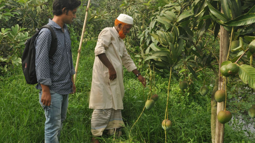 chemical-free_mango2.jpg