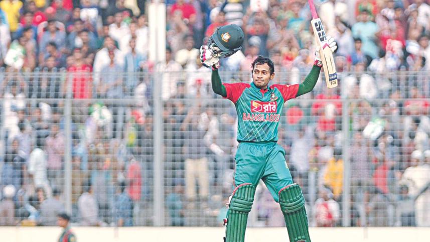 cricket