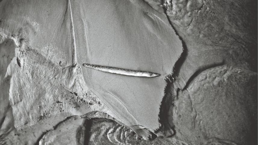 death_of_brahmaputra_5.jpg