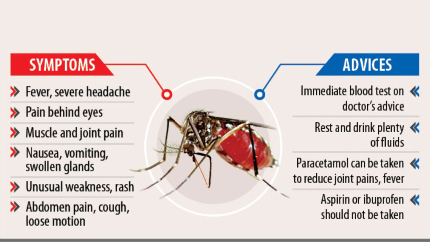 dengue_f.jpg