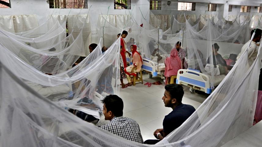 dengue_rattles7.jpg