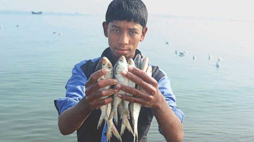 dry_fish2.jpg