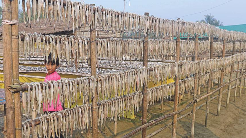 dry_fish8.jpg