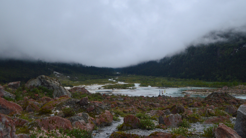 dsc_2984.jpg