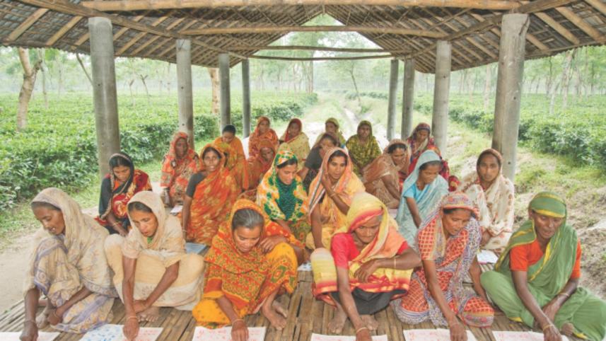 elder education