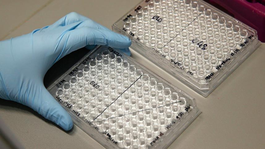 Ebola vaccine