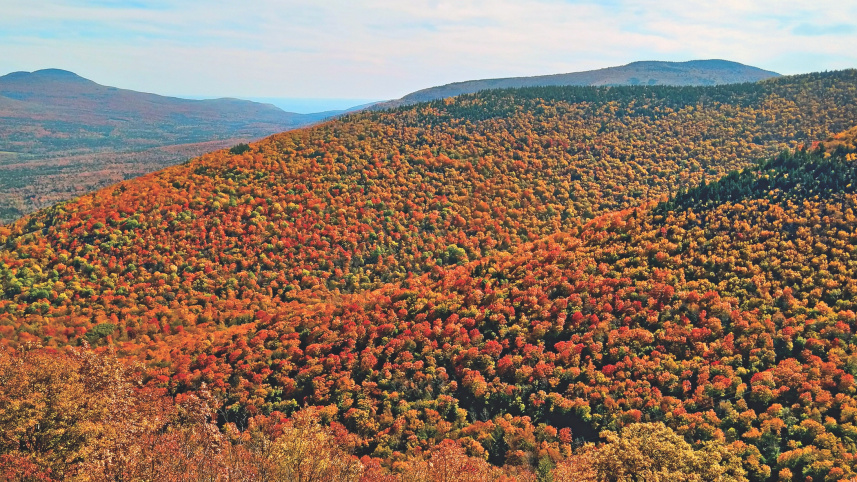 fall_season2.jpg