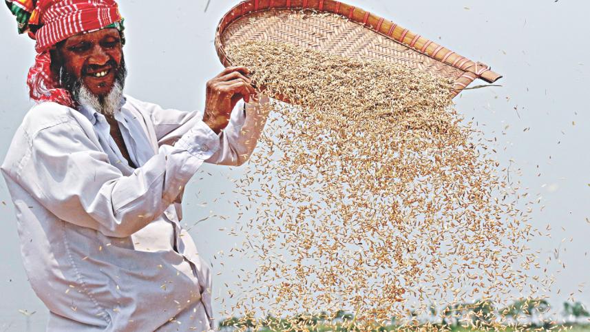 farmers_3.jpg