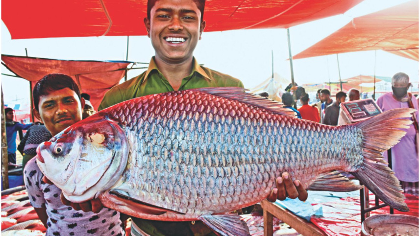 fish3_1.jpg