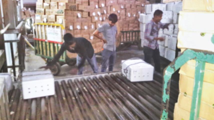 fish export.jpg