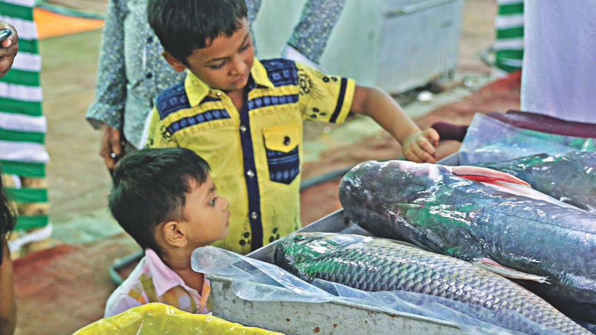 fish_fair9.jpg