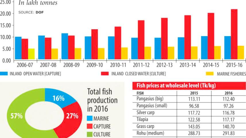 fish_farming_bogged_2_0.jpg